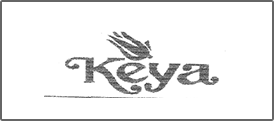 Historical client logo 4